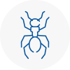 Ant Removals In Plaistow