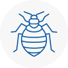 Bed Bug Extermination In Plaistow