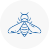 Bee Nest Removal Plaistow