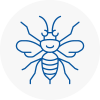 Plaistow Hornet Nest Removals