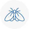 Moth Control Specialists In Plaistow