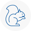 Plaistow Rodent Removals
